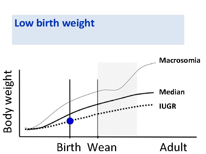 Low birth weight Body weight Macrosomia IUGR*** Median IUGR Birth Wean Adult 