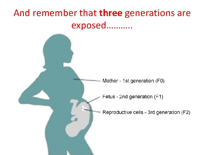 And remember that three generations are exposed………. . 