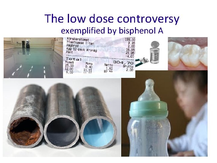 The low dose controversy exemplified by bisphenol A 