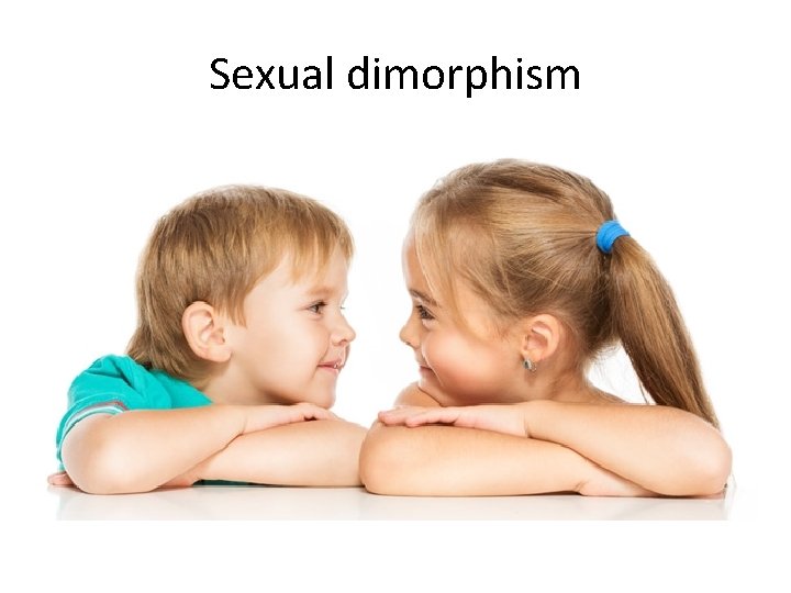 Sexual dimorphism 