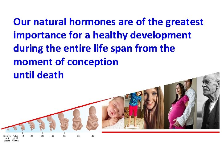 Our natural hormones are of the greatest importance for a healthy development during the