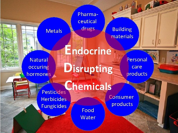 Pharmaceutical drugs Metals Natural occuring hormones Building materials Endocrine Disrupting Chemicals Pesticides Herbicides Fungicides