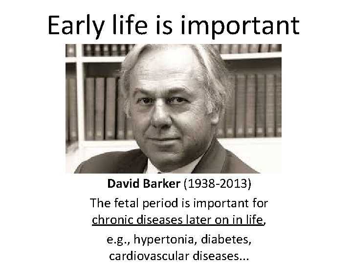 Early life is important David Barker (1938 -2013) The fetal period is important for