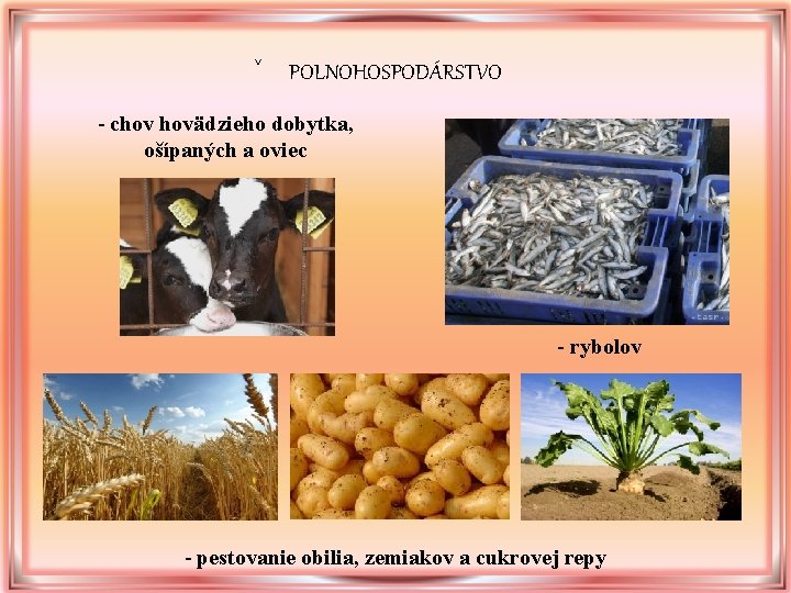 ˇ POLNOHOSPODÁRSTVO - chov hovädzieho dobytka, ošípaných a oviec - rybolov - pestovanie obilia, ˇ POLNOHOSPODÁRSTVO - chov hovädzieho dobytka, ošípaných a oviec - rybolov - pestovanie obilia,