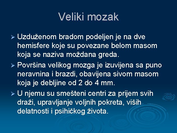 Veliki mozak Ø Uzduženom bradom podeljen je na dve hemisfere koje su povezane belom