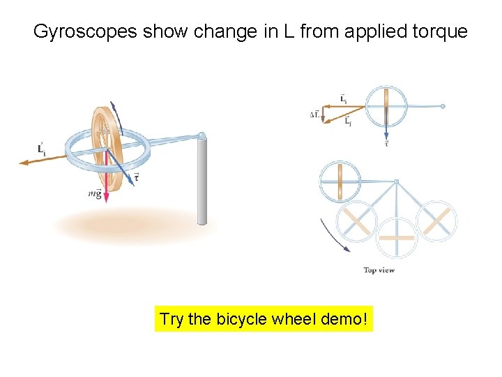 Gyroscopes show change in L from applied torque Try the bicycle wheel demo! Gyroscopes show change in L from applied torque Try the bicycle wheel demo!