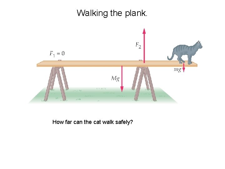 Walking the plank. How far can the cat walk safely? Walking the plank. How far can the cat walk safely?