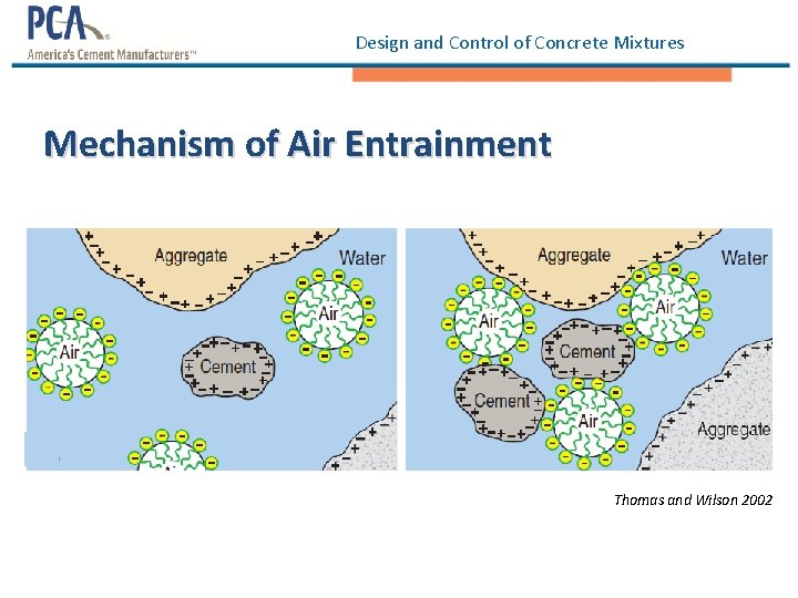 Design and Control of Concrete Mixtures Mechanism of Air Entrainment Thomas and Wilson 2002