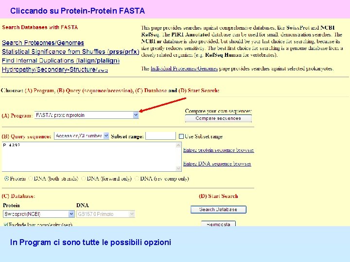 Cliccando su Protein-Protein FASTA In Program ci sono tutte le possibili opzioni 