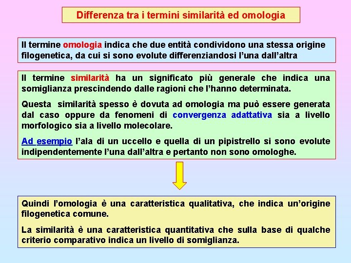 Differenza tra i termini similarità ed omologia Il termine omologia indica che due entità