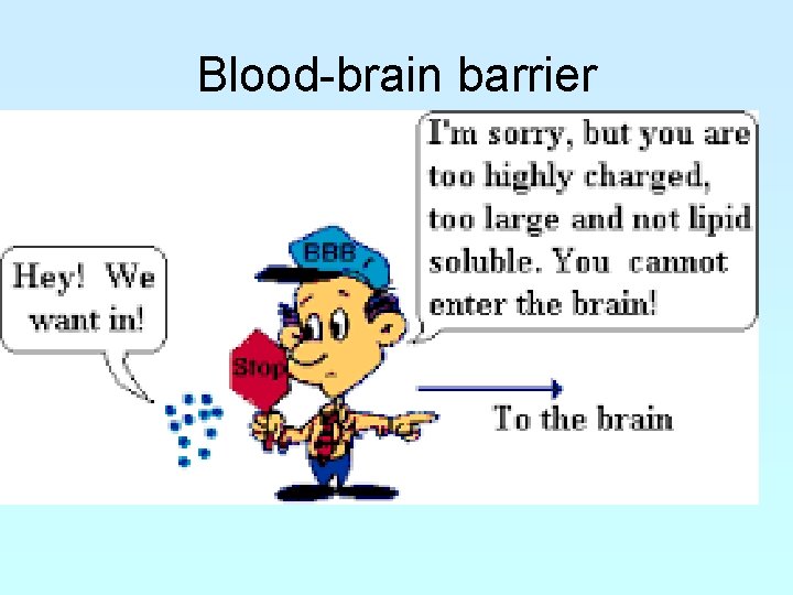 Blood-brain barrier 