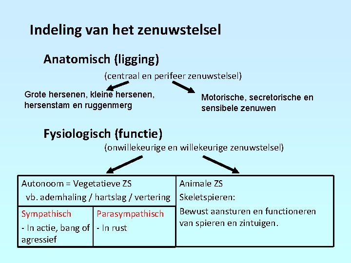 Indeling van het zenuwstelsel Anatomisch (ligging) (centraal en perifeer zenuwstelsel) Grote hersenen, kleine hersenen,