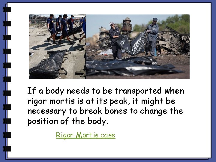 If a body needs to be transported when rigor mortis is at its peak, If a body needs to be transported when rigor mortis is at its peak,