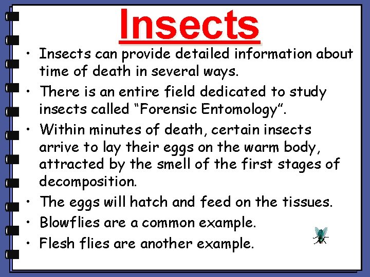 Insects • Insects can provide detailed information about time of death in several ways. Insects • Insects can provide detailed information about time of death in several ways.