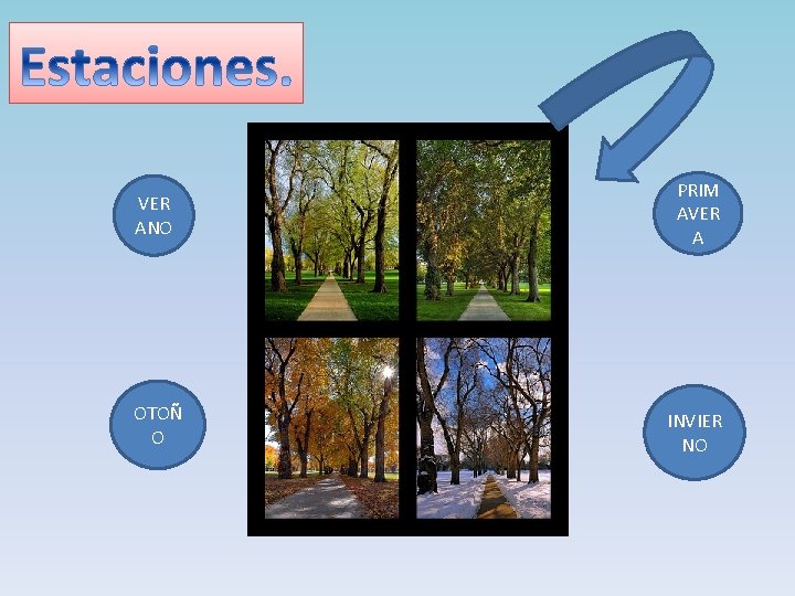 VER ANO PRIM AVER A OTOÑ O INVIER NO 
