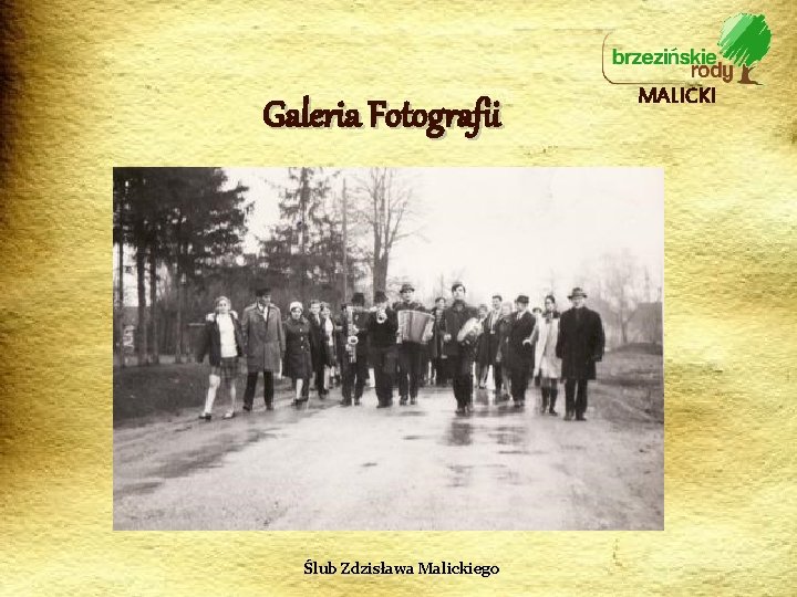 Galeria Fotografii Ślub Zdzisława Malickiego MALICKI 