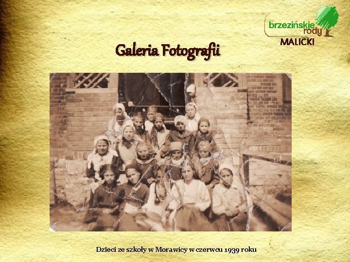 Galeria Fotografii Dzieci ze szkoły w Morawicy w czerwcu 1939 roku MALICKI 