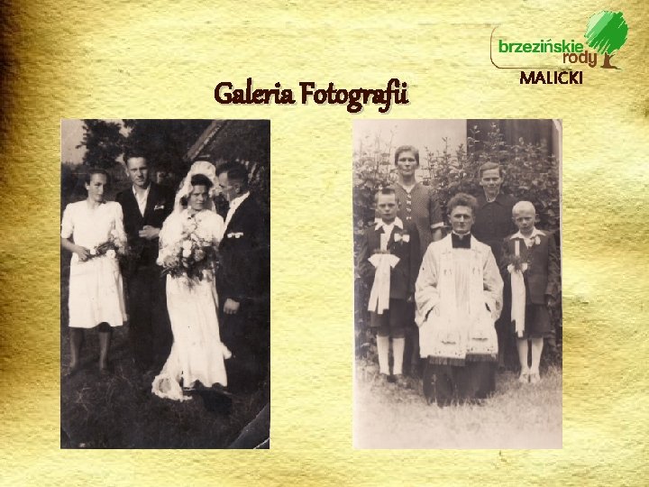 Galeria Fotografii MALICKI 