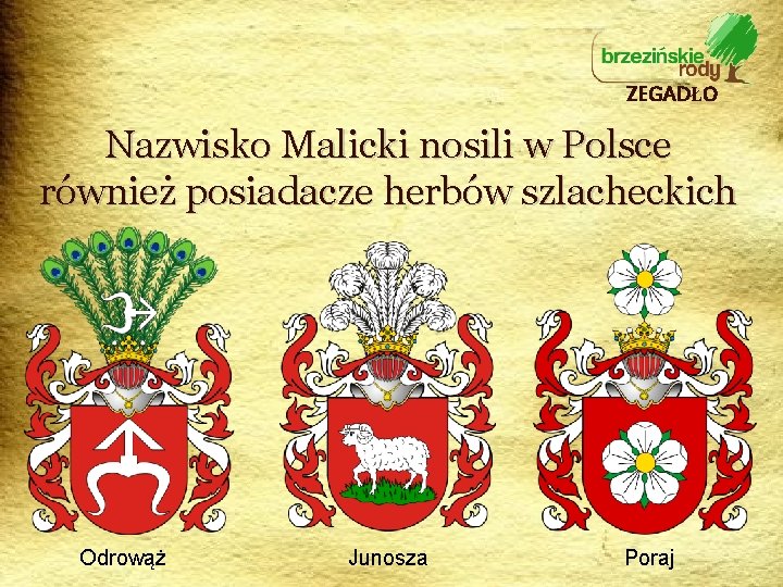 ZEGADŁO Nazwisko Malicki nosili w Polsce również posiadacze herbów szlacheckich Odrowąż Junosza Poraj 