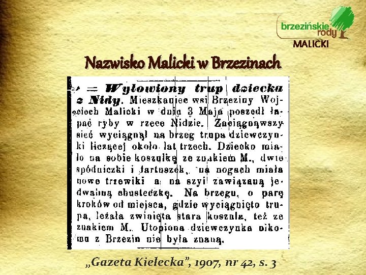 MALICKI Nazwisko Malicki w Brzezinach „Gazeta Kielecka”, 1907, nr 42, s. 3 