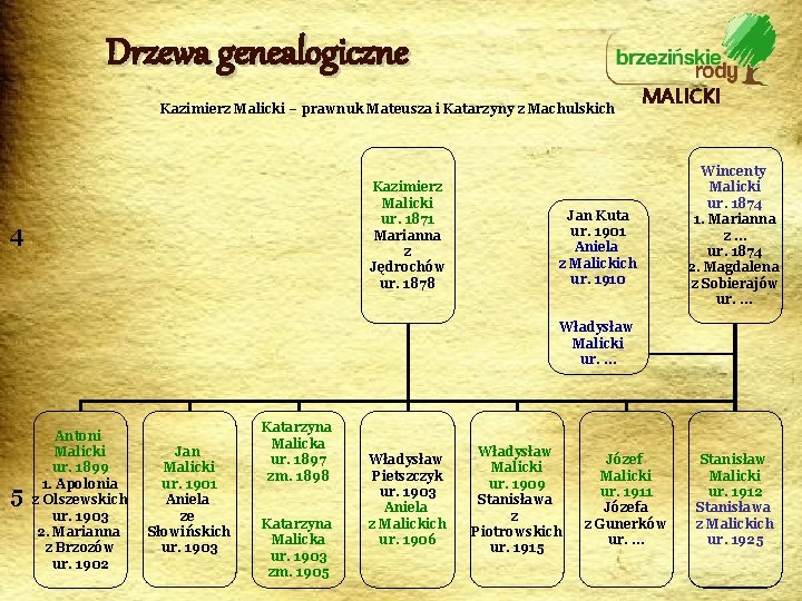 Drzewa genealogiczne Kazimierz Malicki – prawnuk Mateusza i Katarzyny z Machulskich Kazimierz Malicki ur.