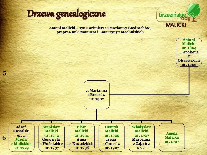 Drzewa genealogiczne Antoni Malicki – syn Kazimierza i Marianny z Jędrochów, praprawnuk Mateusza i