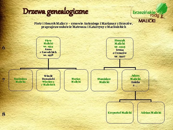 Drzewa genealogiczne Piotr i Henryk Maliccy – synowie Antoniego i Marianny z Brzozów, prapraprawnukowie