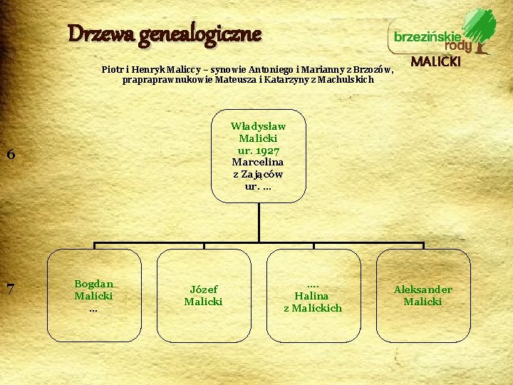 Drzewa genealogiczne Piotr i Henryk Maliccy – synowie Antoniego i Marianny z Brzozów, prapraprawnukowie