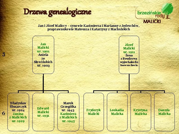 Drzewa genealogiczne Jan i Józef Maliccy – synowie Kazimierza i Marianny z Jędrochów, praprawnukowie