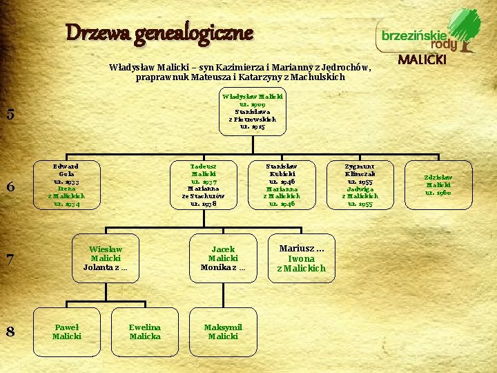 Drzewa genealogiczne Władysław Malicki – syn Kazimierza i Marianny z Jędrochów, praprawnuk Mateusza i
