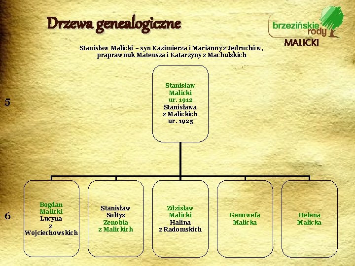Drzewa genealogiczne Stanisław Malicki – syn Kazimierza i Marianny z Jędrochów, praprawnuk Mateusza i