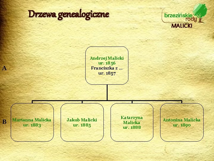 Drzewa genealogiczne MALICKI Andrzej Malicki ur. 1856 Franciszka z … ur. 1857 A B