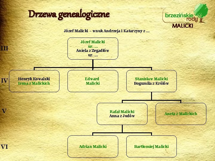 Drzewa genealogiczne MALICKI Józef Malicki – wnuk Andrzeja i Katarzyny z … Józef Malicki