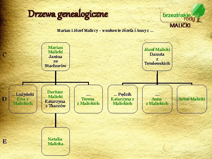 Drzewa genealogiczne Marian i Józef Maliccy – wnukowie Józefa i Anny z … Marian