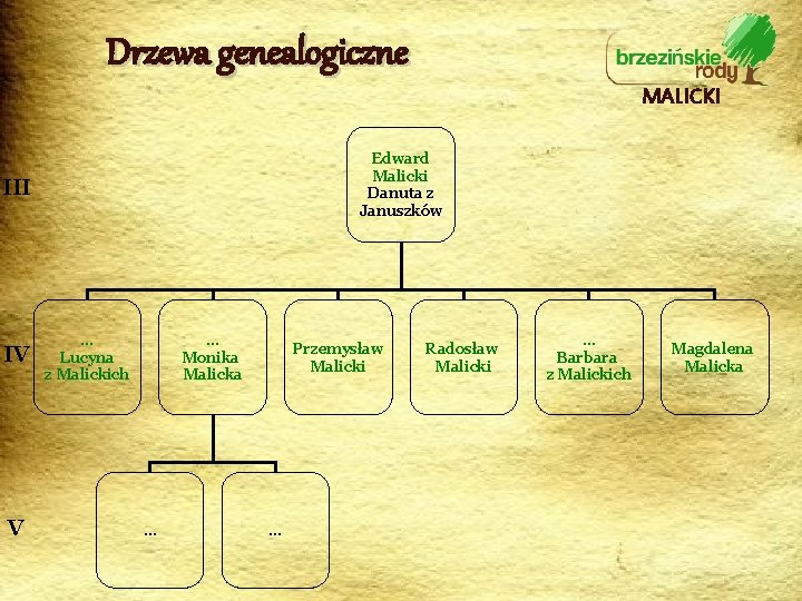 Drzewa genealogiczne MALICKI Edward Malicki Danuta z Januszków III IV V … Lucyna z