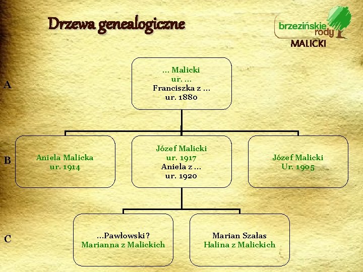 Drzewa genealogiczne MALICKI A … Malicki ur. … Franciszka z … ur. 1880 B