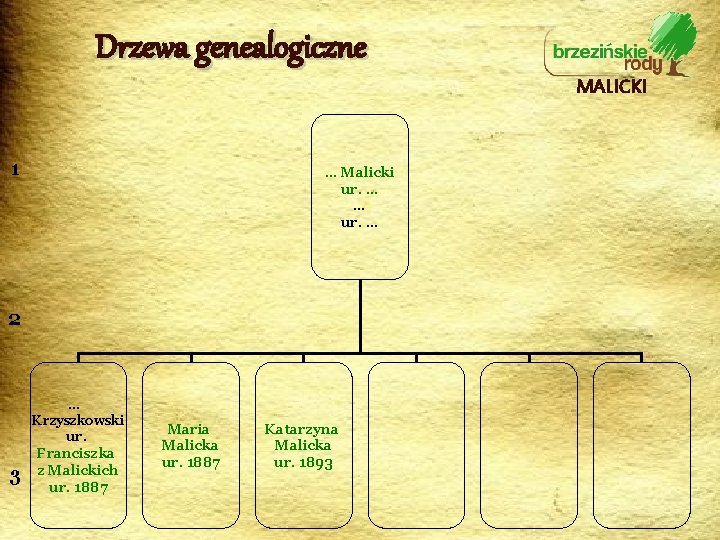 Drzewa genealogiczne MALICKI 1 … Malicki ur. … … ur. … 2 … Krzyszkowski