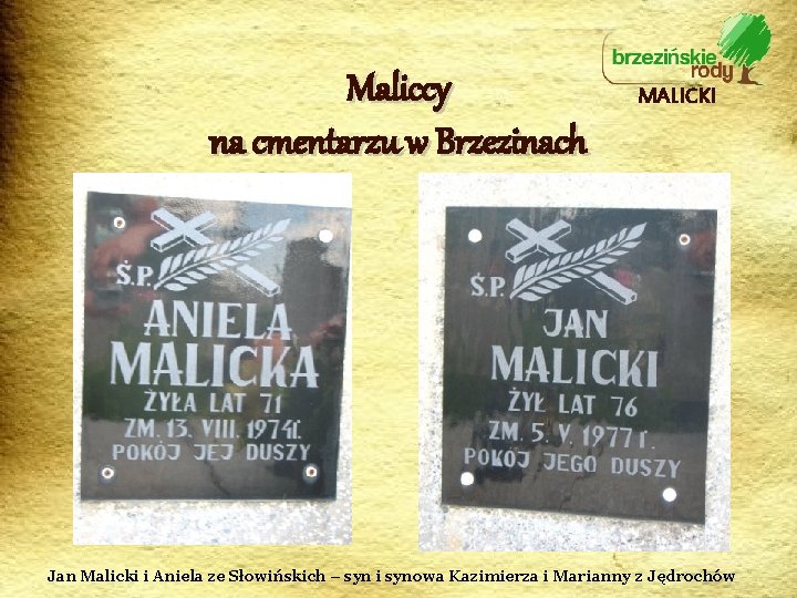 Maliccy na cmentarzu w Brzezinach MALICKI Jan Malicki i Aniela ze Słowińskich – syn