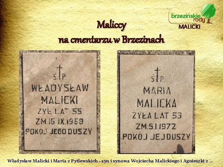 Maliccy na cmentarzu w Brzezinach MALICKI Władysław Malicki i Maria z Pytlewskich - syn