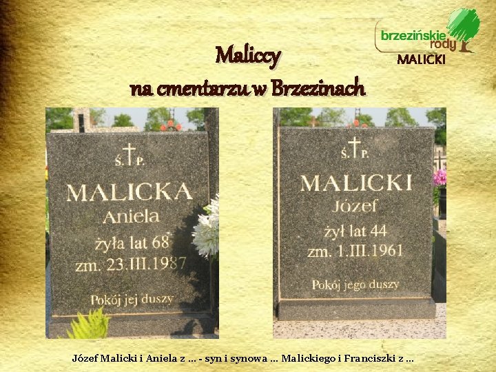 Maliccy na cmentarzu w Brzezinach MALICKI Józef Malicki i Aniela z … - syn