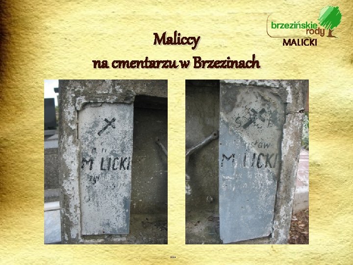 Maliccy na cmentarzu w Brzezinach … MALICKI 