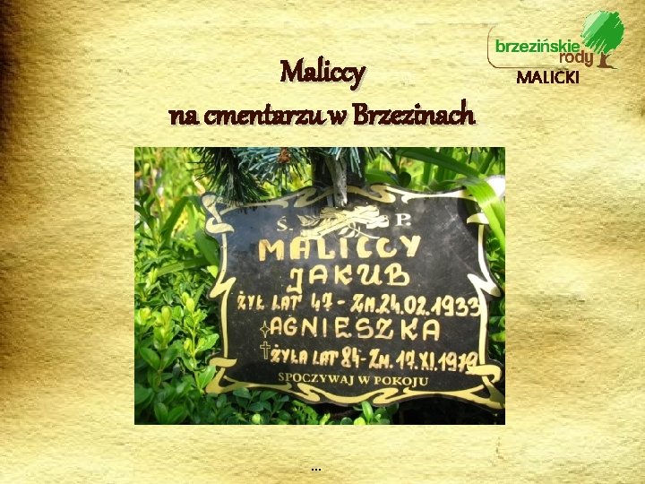 Maliccy na cmentarzu w Brzezinach … MALICKI 