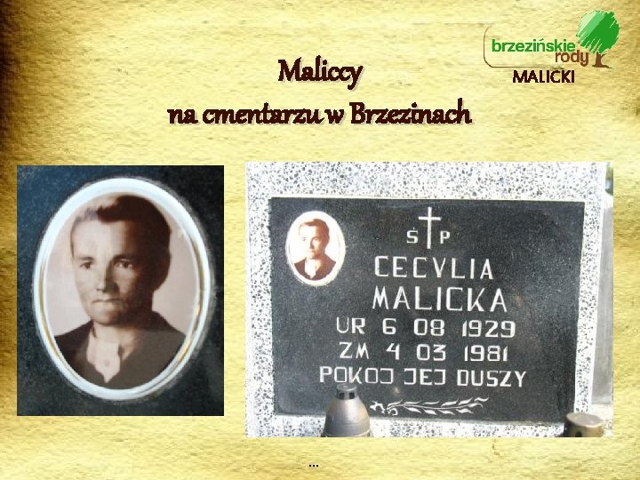 Maliccy na cmentarzu w Brzezinach … MALICKI 