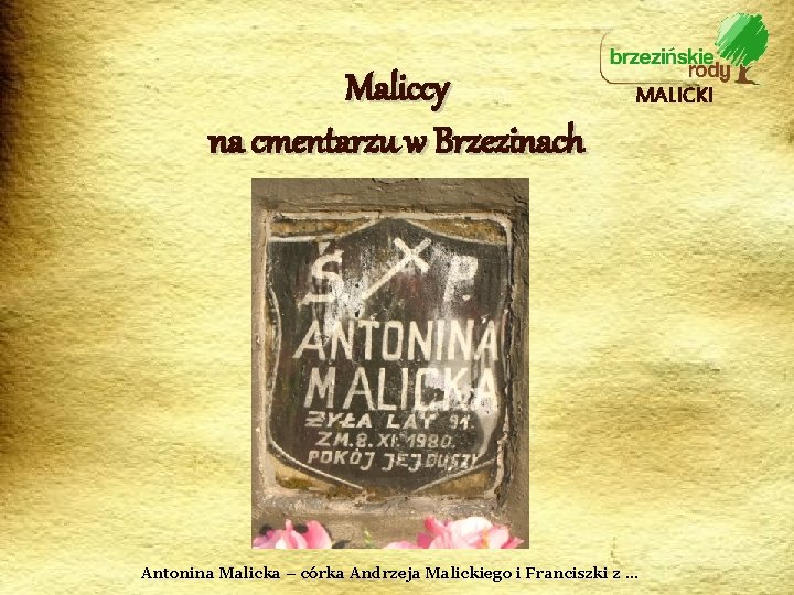 Maliccy na cmentarzu w Brzezinach MALICKI Antonina Malicka – córka Andrzeja Malickiego i Franciszki