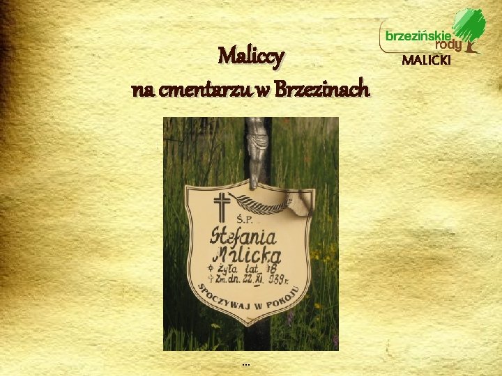 Maliccy na cmentarzu w Brzezinach … MALICKI 