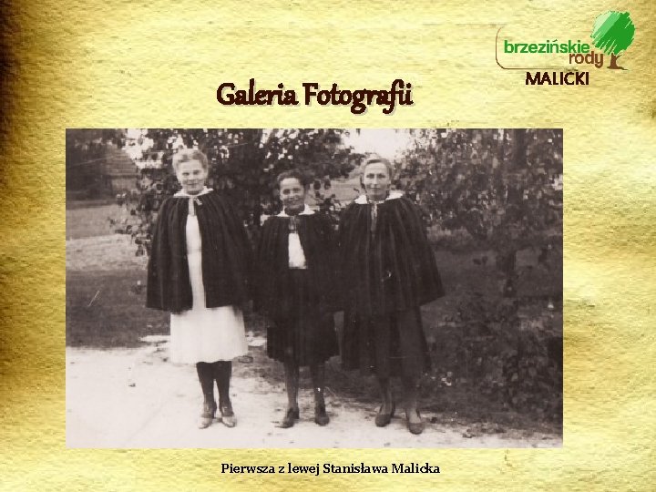 Galeria Fotografii Pierwsza z lewej Stanisława Malicka MALICKI 