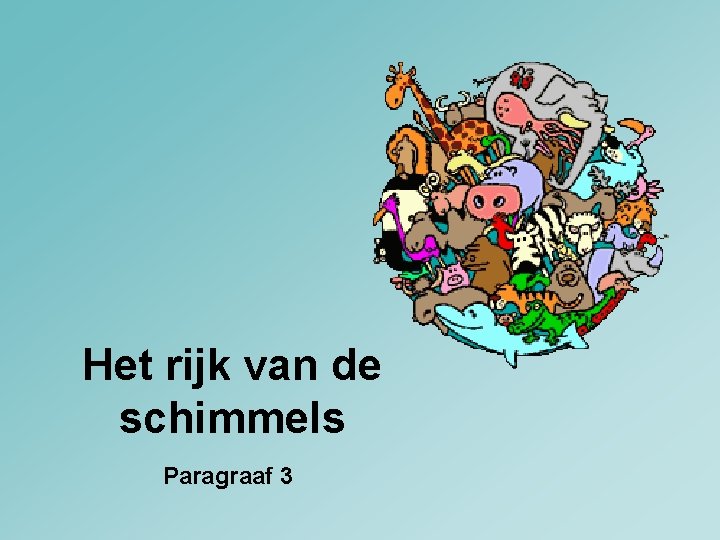 Het rijk van de schimmels Paragraaf 3 