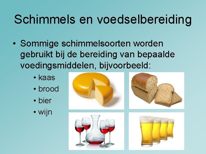 Schimmels en voedselbereiding • Sommige schimmelsoorten worden gebruikt bij de bereiding van bepaalde voedingsmiddelen,