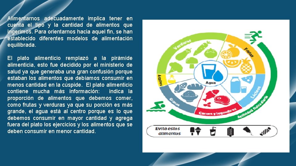 Alimentarnos adecuadamente implica tener en cuenta el tipo y la cantidad de alimentos que