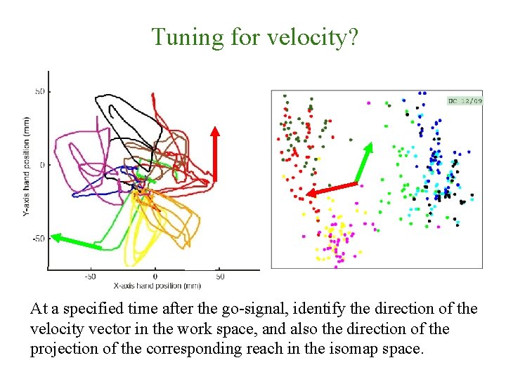 Tuning for velocity? At a specified time after the go-signal, identify the direction of